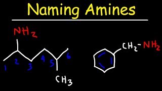 Naming Amines  IUPAC Nomenclature amp Common Names [upl. by Linzy]