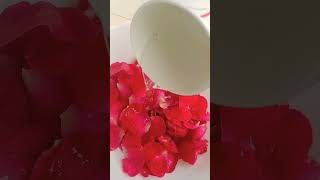 🌹റോസ് വാട്ടർ ഇനി വീട്ടിൽ ഉണ്ടാക്കാം😱 rose water making vedio [upl. by Trudie]