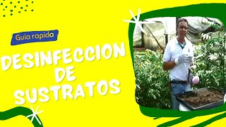 Como realizar la Desinfección de Sustratos para germinacion de semillas con Formol [upl. by Lanni820]