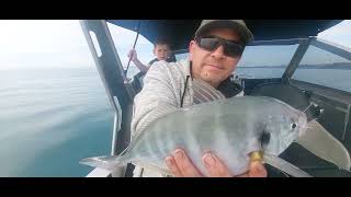 Hawkes Bay Fishing Gurnard Magic [upl. by Senecal]