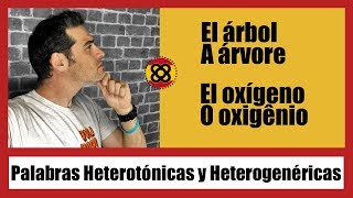 ✅ PALABRAS HETEROTÓNICAS e HETEROGENÉRICAS ESPANHOL PORTUGUÊS [upl. by Oetsira310]