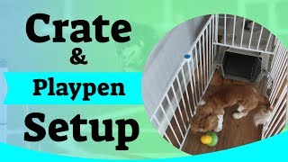 Puppy Crate Setup  Using A Puppy Playpen [upl. by Paolina]