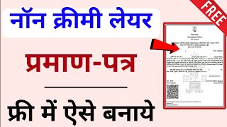 Non Creamy Layer Certificate Online Apply 2024  OBC NCL Caste Certificate kasie banaye [upl. by Salakcin]