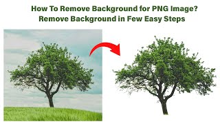 How to Create a PNG Image or Remove Background in Photoshop [upl. by Greenland963]