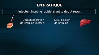 L’insuline endogène et l’insuline exogène [upl. by Genvieve905]