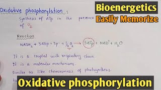 Oxidative Phosphorylation  Class 11 Biology [upl. by Brenan]