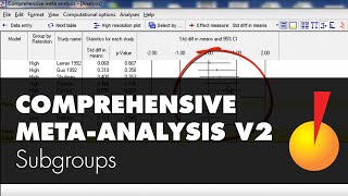 Comprehensive MetaAnalysis v2  Subgroups [upl. by Cnahc]