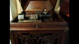 Bedelia  Sung by Billy Murray  1903 Edison Gould Moulded Record  Amberola 1A [upl. by Ainecey]