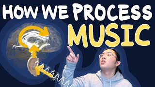 How We Process Music  Neuroscience for Musicians [upl. by Braynard]