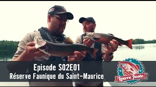 Leurre Juste  S02E01  Truites pêche estivale incroyable [upl. by Seabrooke]