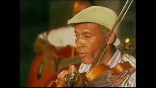 the best violinist on Cape Verde [upl. by Atteuqehs]