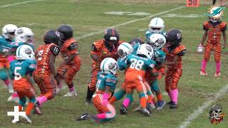 🔥🐬7u Louisville Dolphins vs Mob Squad Tigers🐅🔥 [upl. by Yelsha]