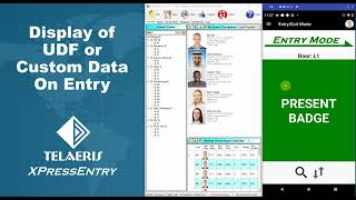 Display of UDF or Custom Data on Entry [upl. by Vachell813]