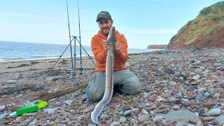 BRISTOL CHANNEL  The Trip part 1 Conger Thornback Ray [upl. by Emmett427]