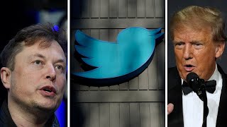 Elon Musk restores Donald Trump to Twitter after holding online poll [upl. by Fortunia]