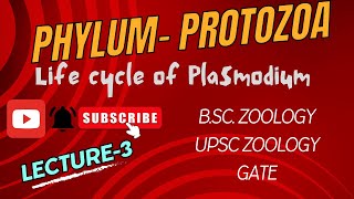 Plasmodium  Life cycle of Malarial Parasite  Notes Pdf in Description  BSc Zoology  Biology [upl. by Sisak]