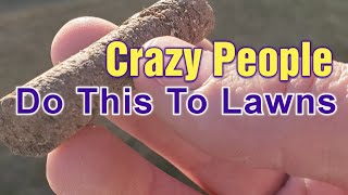 Only TRUE Lawn Care Nuts EVER Do This  My BEST Manual Core Aeration Tips [upl. by Lecirg792]