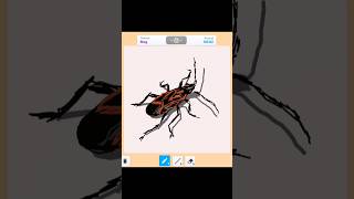 Bug Drawing speeddraw roblox drawing shorts digitalart gaming painting art artist [upl. by Mcnutt]