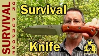 Celtibero Survival Knife Review  A Gauntlet Review [upl. by Ahsikram]