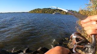 Fishingand catching at Governor Island in Madison WILake Mendota [upl. by Davidoff626]