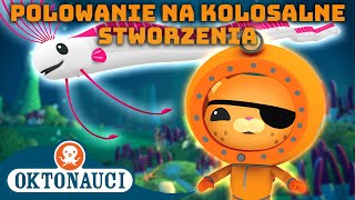 Oktonauci  🦑 Polowanie na kolosalne stworzenia 🔍  Kompilacja  Całe odcinki [upl. by Ireva]