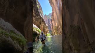 River Hike in Zion’s Spectacular Narrows zionnationalpark hikingadventure water hiking [upl. by Godliman]