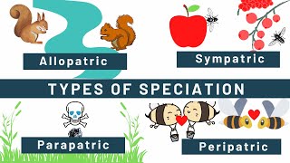 Speciation Allopatric Sympatric Peripatric Parapatric Types of speciation Examples [upl. by Leopoldeen]