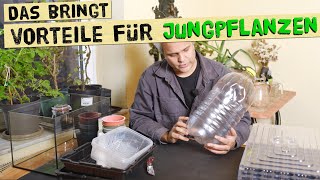 5 DIY Mini Gewächshäuser für die Fensterbank  So keimen und wachsen Jungpflanzen schneller [upl. by Silva]