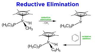 Organometallic Reactions Part 3 Reductive Elimination [upl. by Anirdnaxela]