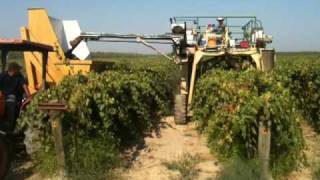 Spectrum Grape Harvester [upl. by Aihseyt]