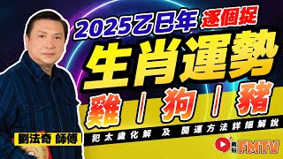 【雞🐓、狗🐕、豬🐖】2025乙巳蛇年十二生肖運勢預測｜2025犯太歲、人緣運、財運、事業運、姻緣運生肖詳講《劉法奇玄真堂︱第60集》CC字幕︱蛇年運程︱生肖運程︱FMTV [upl. by Elyse]