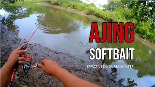 AJING LURE EFFECTIVE DIN SA FRESHWATER  Ultralight Fishing Philippines fishing mancing ajing [upl. by Ynwat]