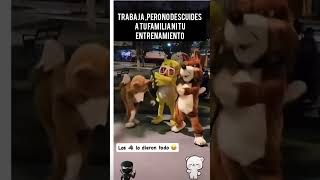 Los lobitos bailando lobitosbailando [upl. by Notlim]