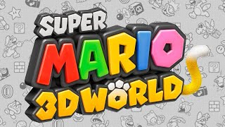 Super Mario 3D World dunkview [upl. by Audley]