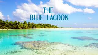 Fakarava Blue Lagoon Windstar Cruise Excursion 4K [upl. by Jarlen]