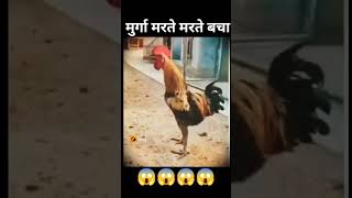 Murga marte marte bachatrending funny comedy funny youtubeshort subscribe and likecomedy 🙏😔😭 [upl. by Oloap780]