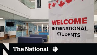 Ontario public colleges driving international student growth [upl. by Ailis329]