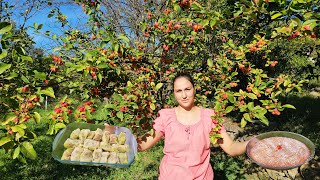 Japrak me lakër dhe mish  Stuffed cabbage rolls recipe in the village [upl. by Aserat]