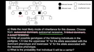 How to analyze and solve pedigree problems fast and easy [upl. by Nnylireg]