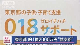 東京都「018サポート」で約1億2000万円誤支給 1694人に支給重複2024年9月2日 [upl. by Kennedy]