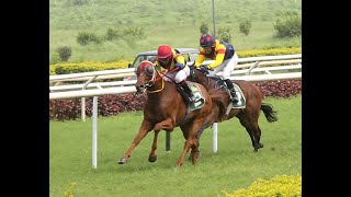 ZUCCARO wins The Western India Trainers Association Trophy Div2 [upl. by Novick765]