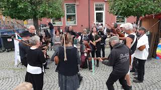 Rudolstadt Festival 2024 Pipenbock Orchester Teil 1 [upl. by Annuaerb]