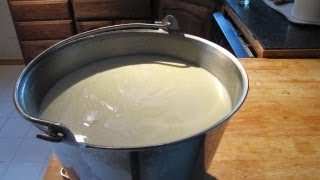 The Raw Milk Renaissance A Farmers Advocacy for Natural Dairy [upl. by Marguerite742]