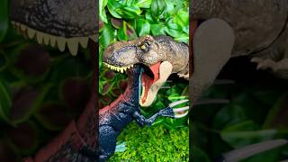 T Rex Vs Therizinosaurus Vs Giganotosaurus dinosaurs [upl. by Eima]