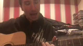 In Flames  Fear is The Weakness  Acoustic Cover [upl. by Nashner]