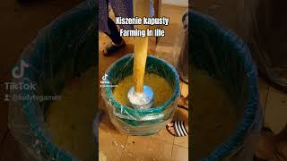 Kiszenie kapusty Farming in life ludytvgames farming farminginlife [upl. by Kenon]