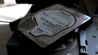 Hear a Failed 40 GB Maxtor Hard Drive [upl. by Adnalu]