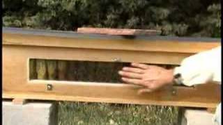 Bees Brood Nest Top Bar Hive [upl. by Prima]