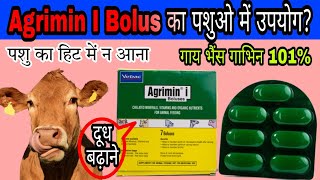 Agrimin I Bolus ke faydeVirbac पशु को हीट में लाने की दवा Vet All Info [upl. by Crenshaw]