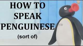 Penguinese A comprehensive guide [upl. by Uriel22]